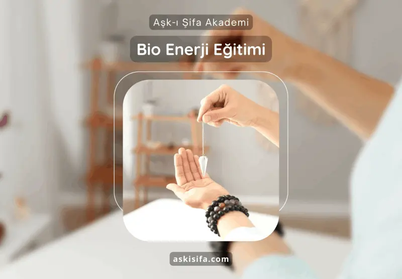Bio Enerji Eğitimi