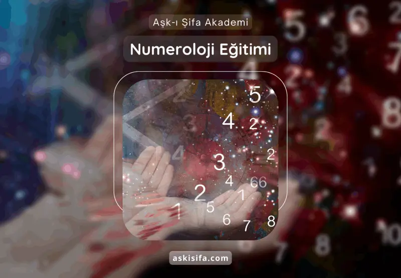 Numeroloji Eğitimi